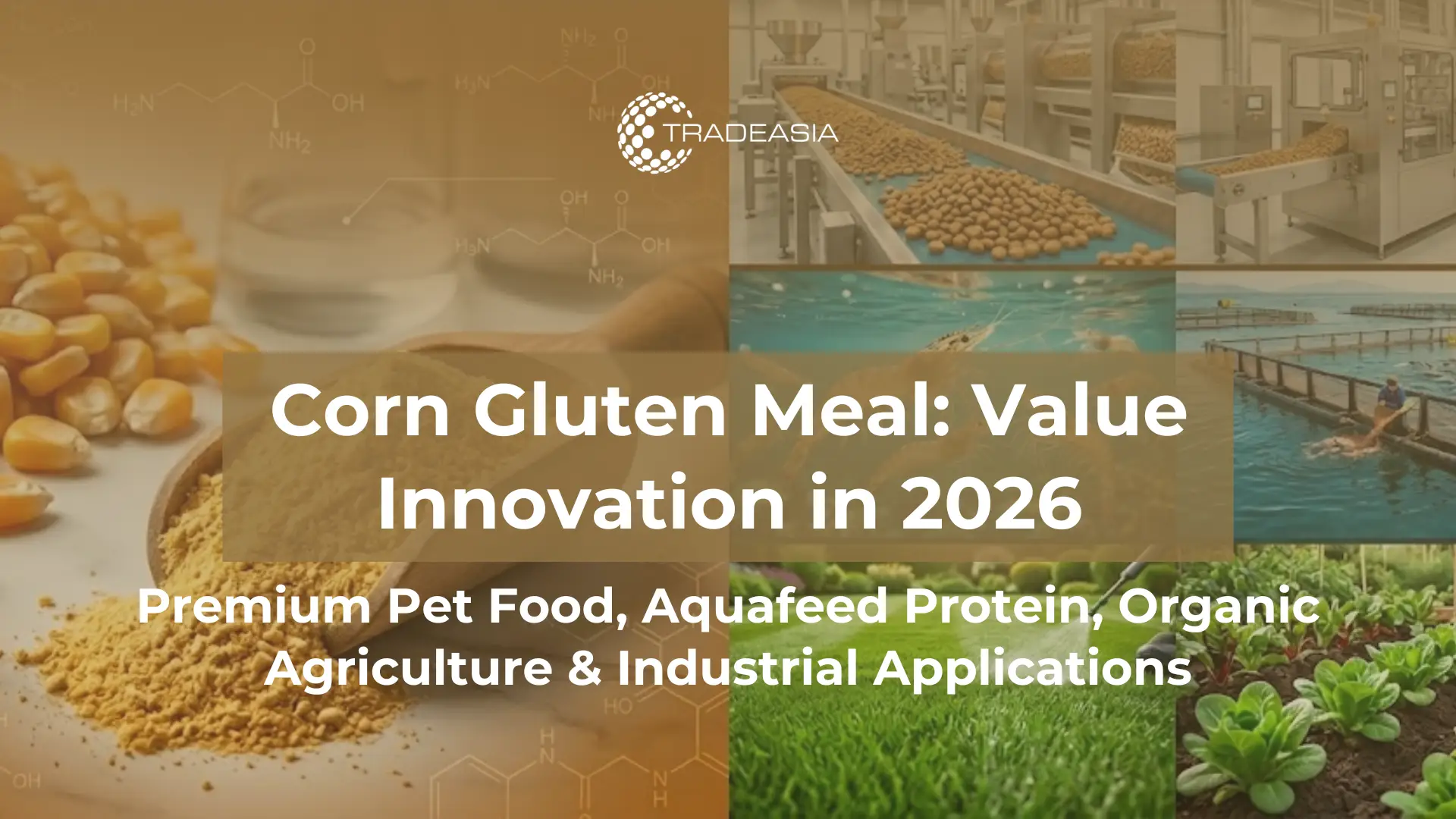 Why Corn Gluten Meal Is Gaining Value in Pet Food and Aquafeed in 2026