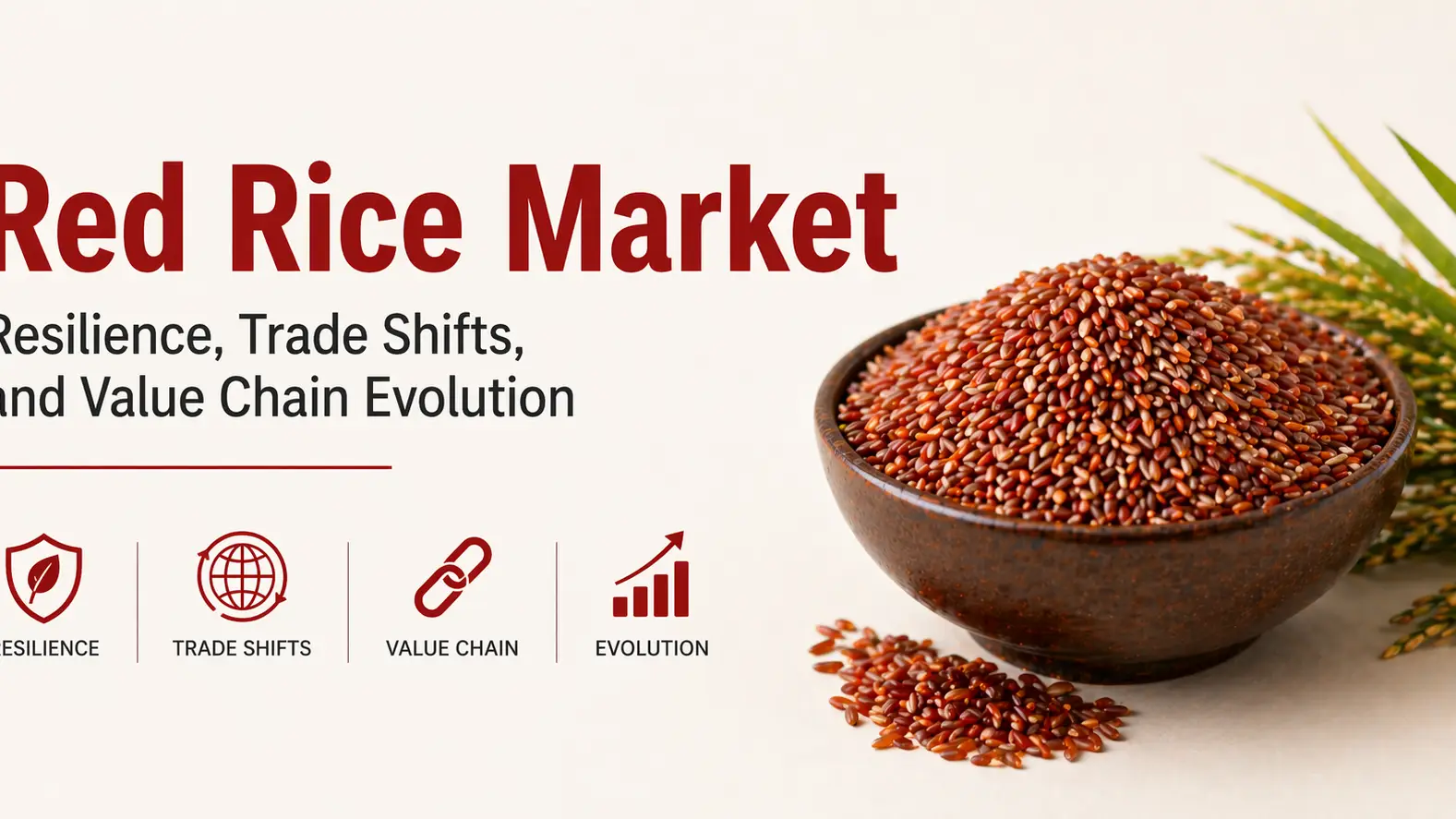 Red Rice Market : Resilience, Trade Shifts, and Value Chain Evolution
