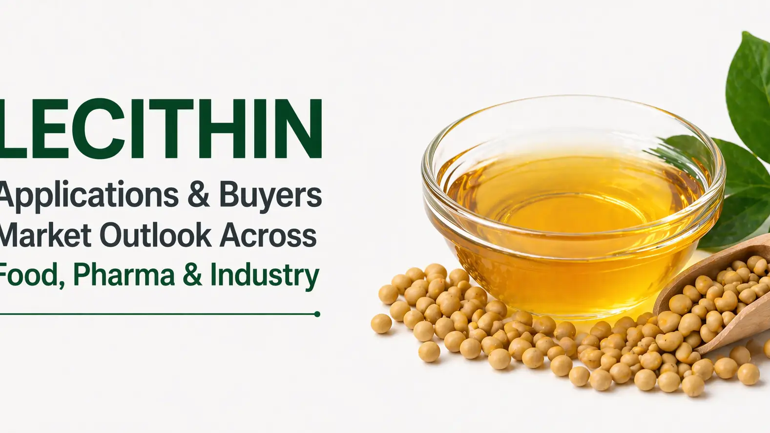 Lecithin Applications & Buyers Market Outlook Across Food, Pharma & Industry