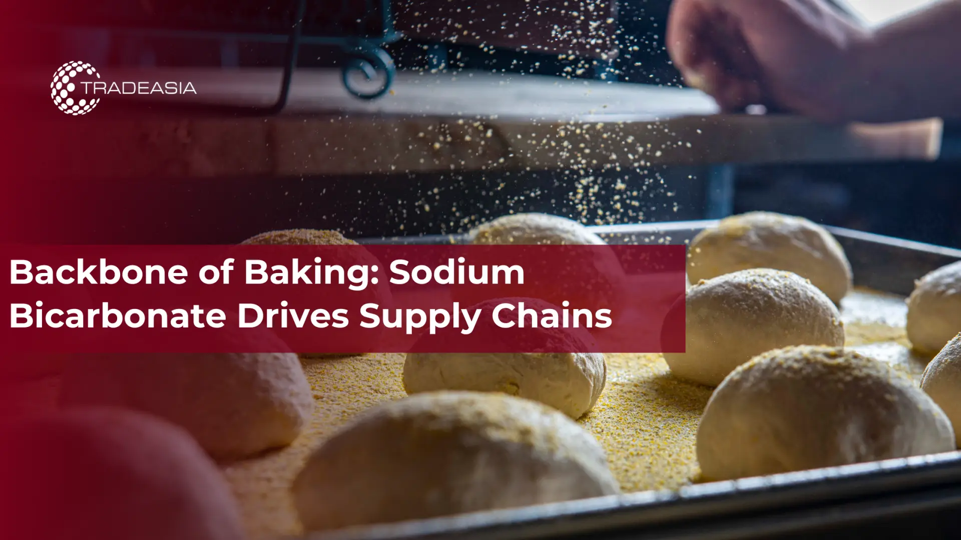 Backbone of Baking: Sodium Bicarbonate Drives Supply Chains