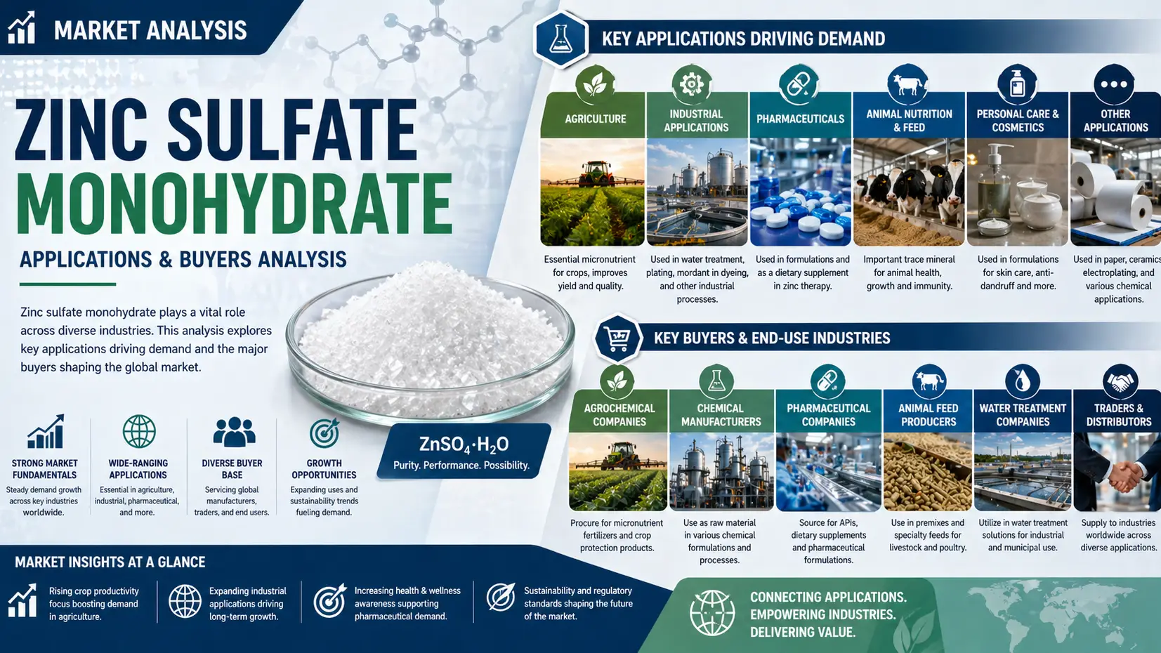 Article Banner of Zinc Sulfate Monohydrate Market 2026: Applications, Buyers & Growth Trends