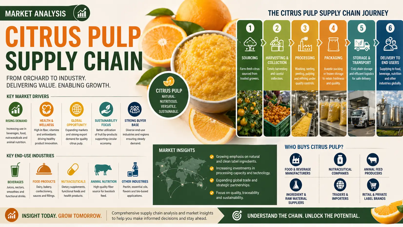 Global Citrus Pulp Supply Chain Outlook 2026: Trade, Pricing and Logistics