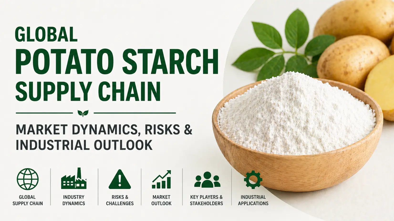 Global Potato Starch Supply Chain Market Dynamics, Risks & Industrial Outlook