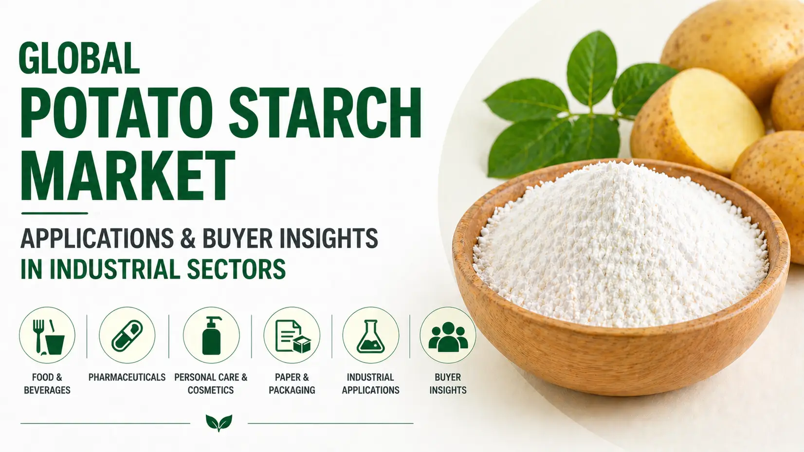 Global Potato Starch Market Applications & Buyer Insights in Industrial Sectors