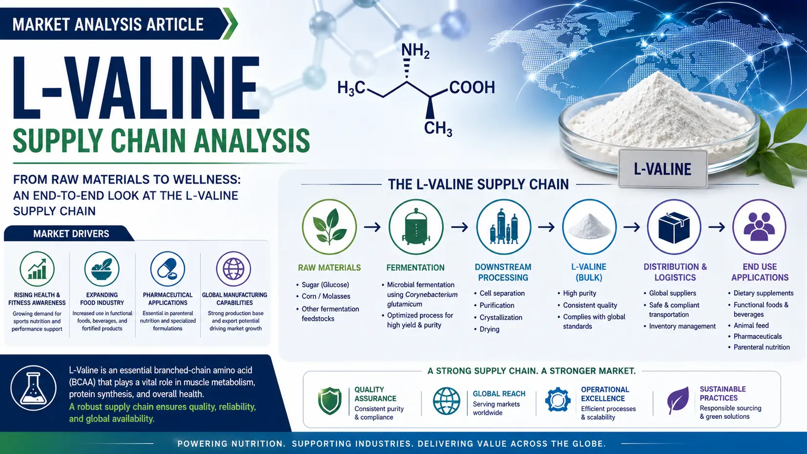 Article Banner of L-Valine Supply Chain Outlook 2026: Production, Trade & Market Dynamics Shift