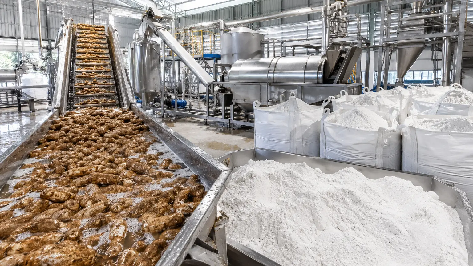 Where to Source Tapioca Starch: Global Supplier Guide 2026