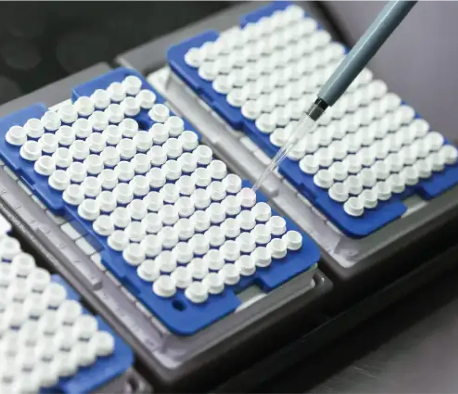 Pharmaceutical Image