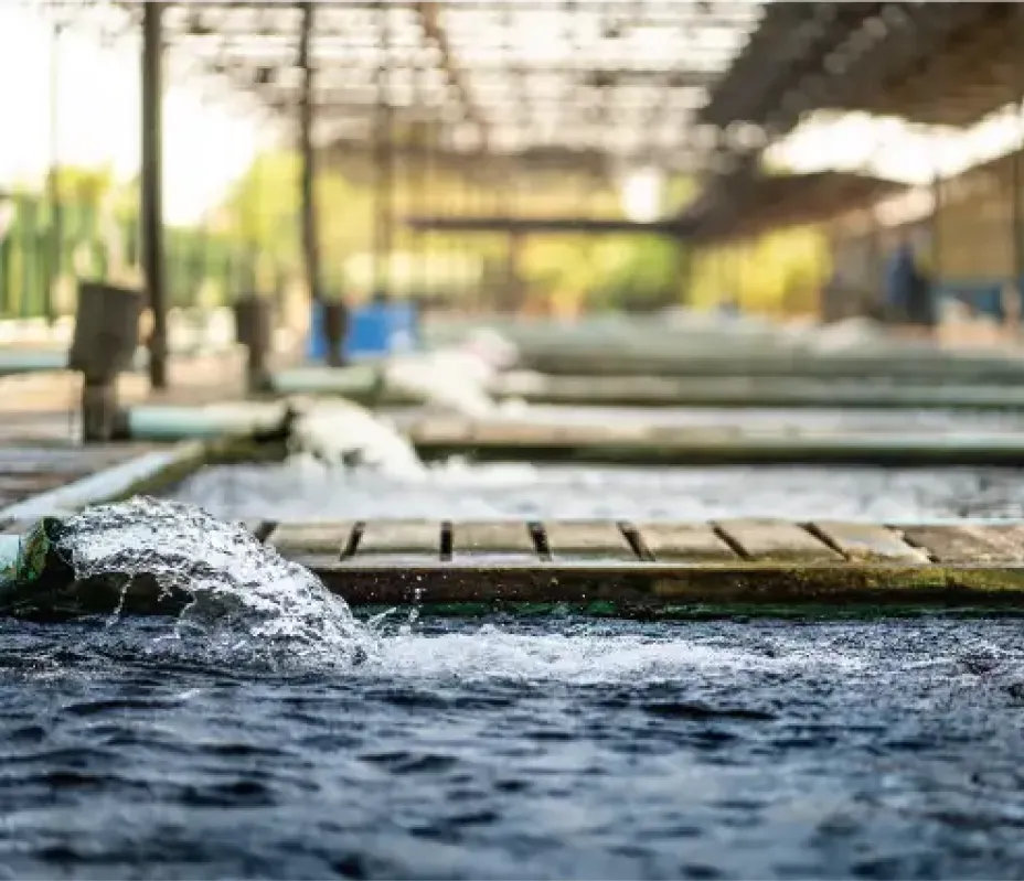 Water Treatment Image