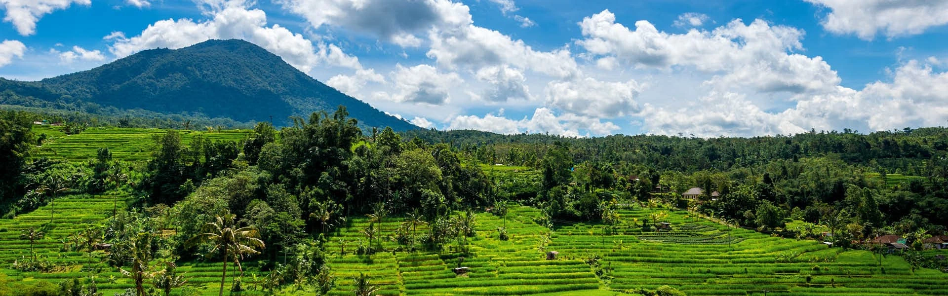 Argus Fertilizer Asia Conference