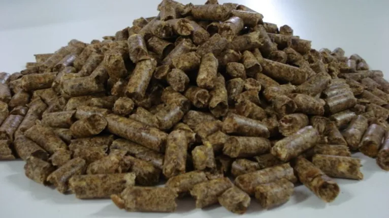 Citrus Pulp in Chemtradeasia