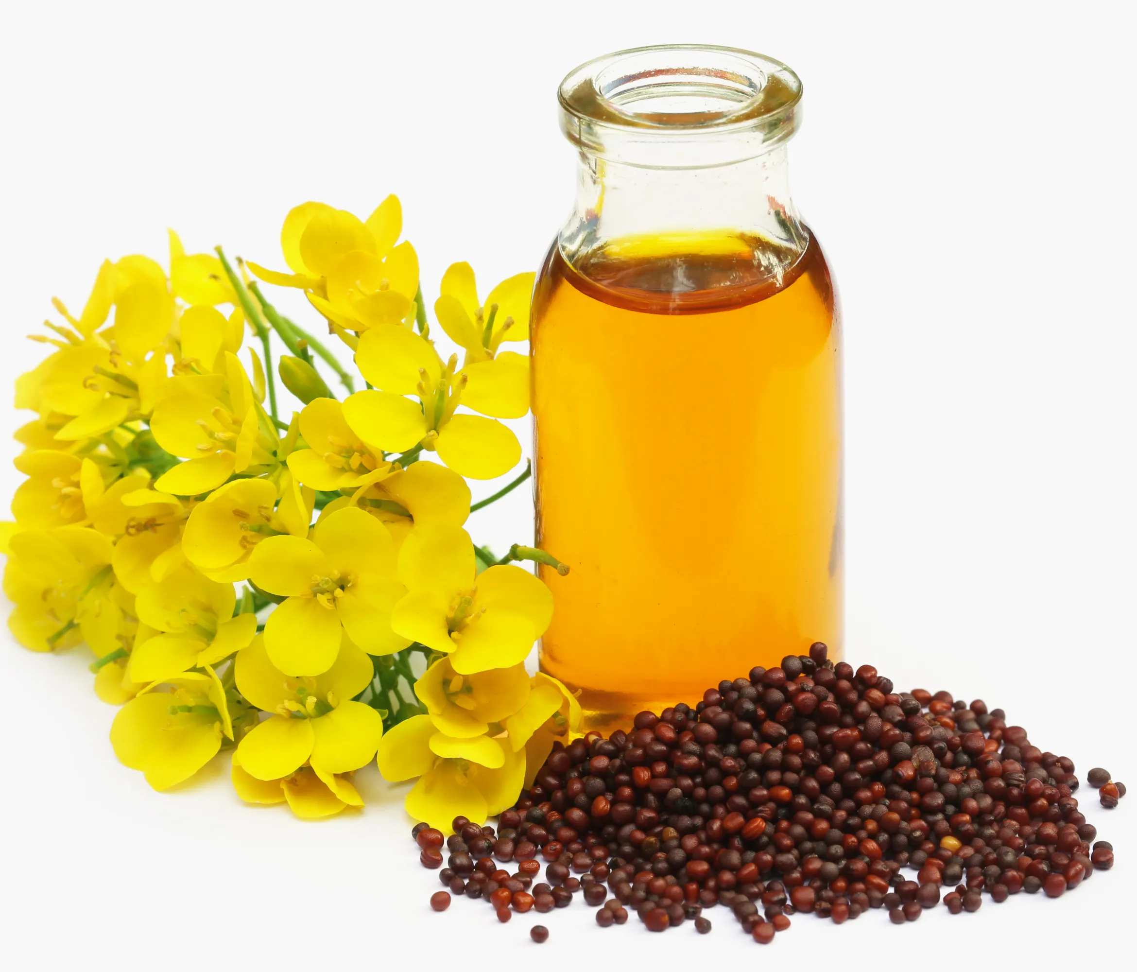 Crude Canola Oil in Oils Tradeasia - All Products