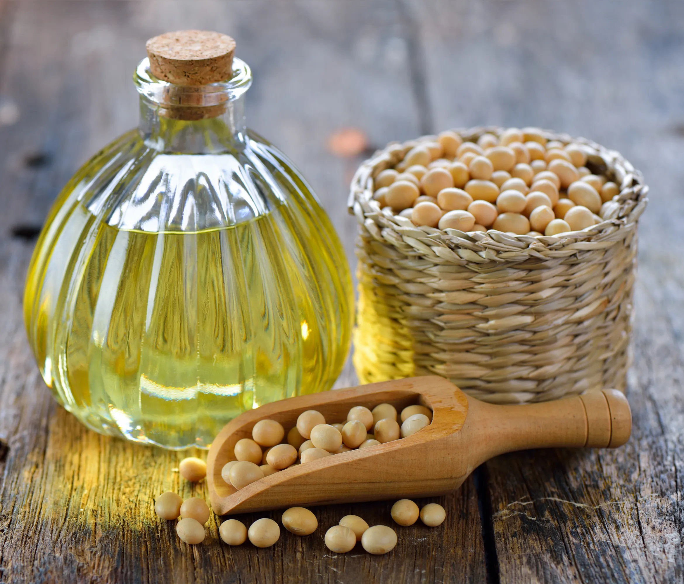 Crude Degummed Soybean Oil in Oils Tradeasia - All Products