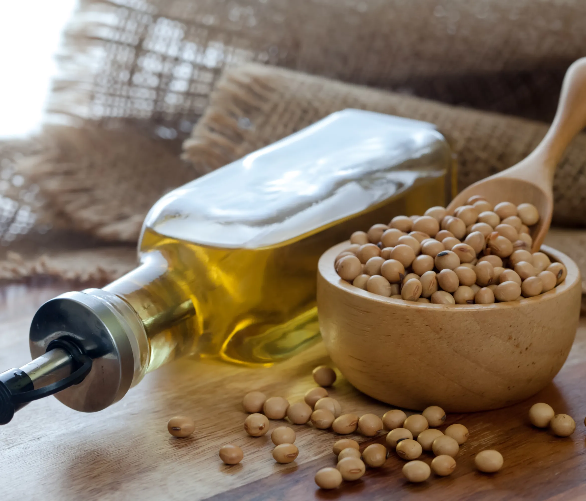 Crude Soybean Oil in Oils Tradeasia - Soybean Oil