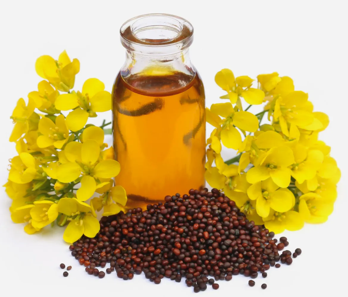 Crude Super Degummed Canola Oil in Oils Tradeasia - Canola Oil