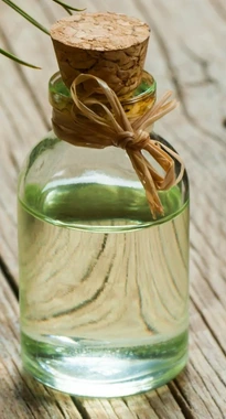 Gum Turpentine Oil (80%) in Chemtradeasia