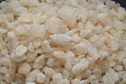 Gum Copal in Chemtradeasia