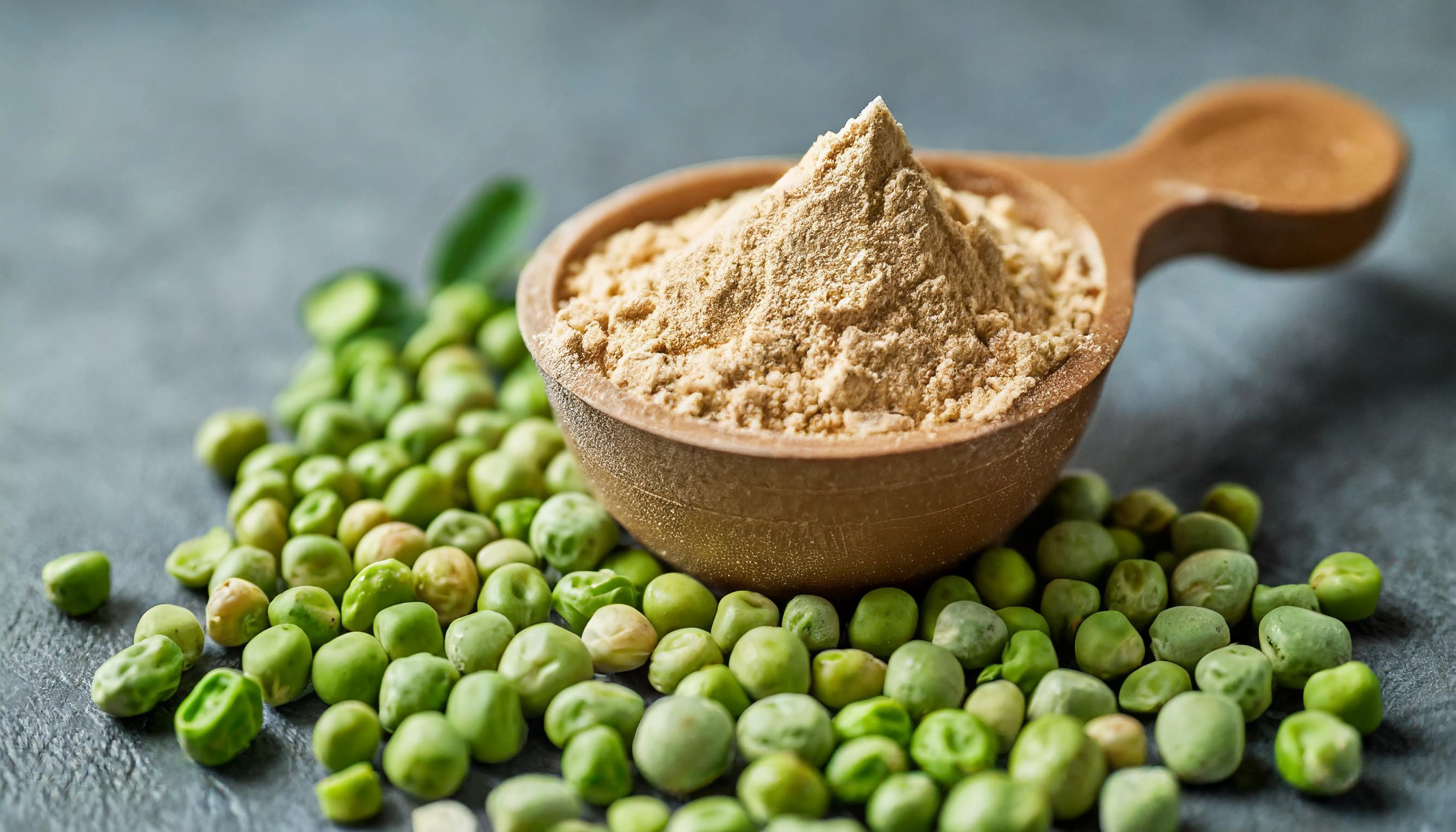 Pea Starch in Chemtradeasia