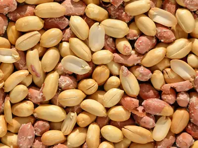 Peanut in Chemtradeasia