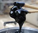 Pine Tar in Chemtradeasia