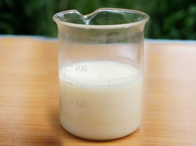 RBD Palm Stearin in Chemtradeasia