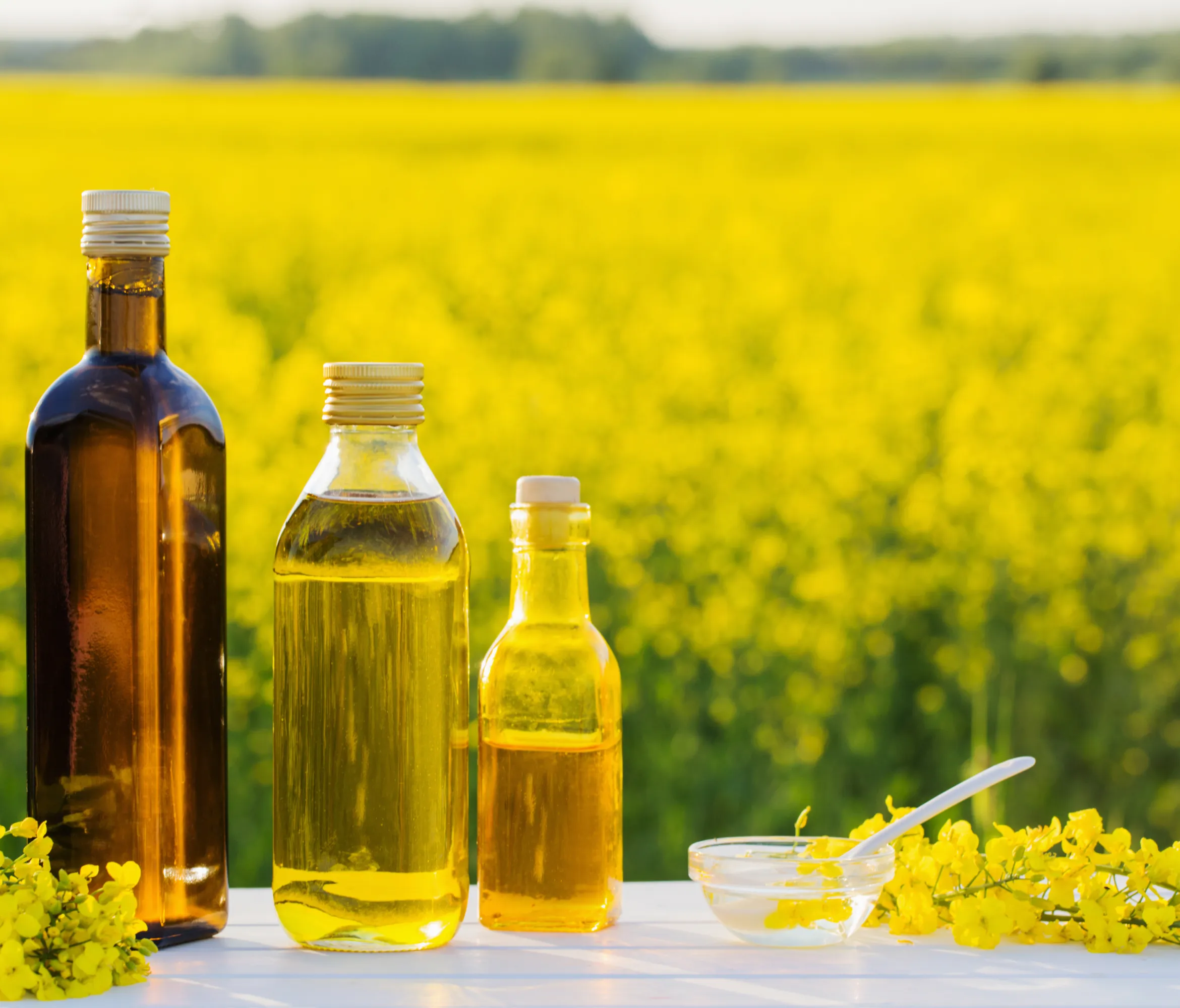 Refined Canola Oil in Oils Tradeasia - Canola Oil