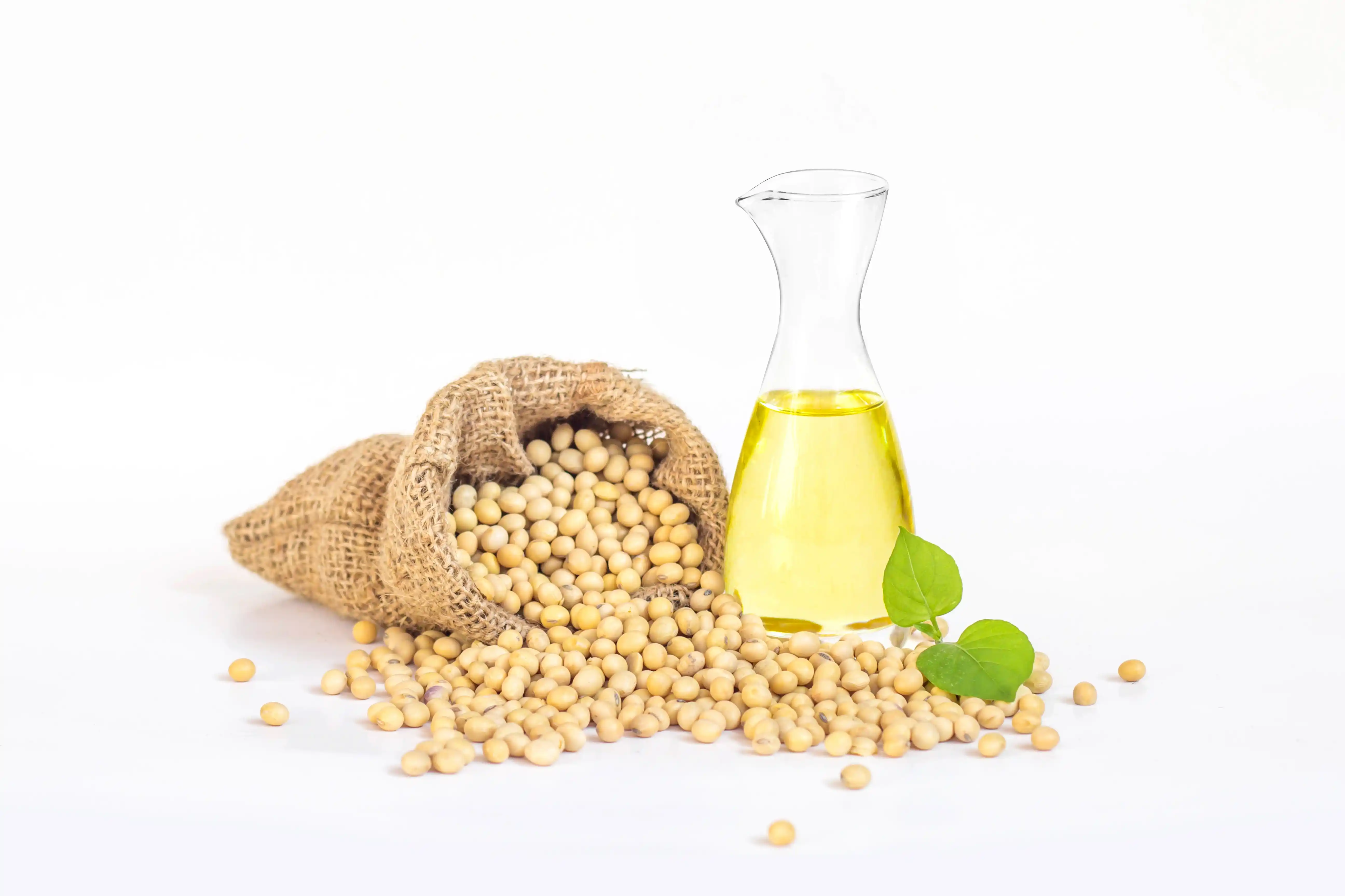 Refined Soybean Oil in Oils Tradeasia - Soybean Oil