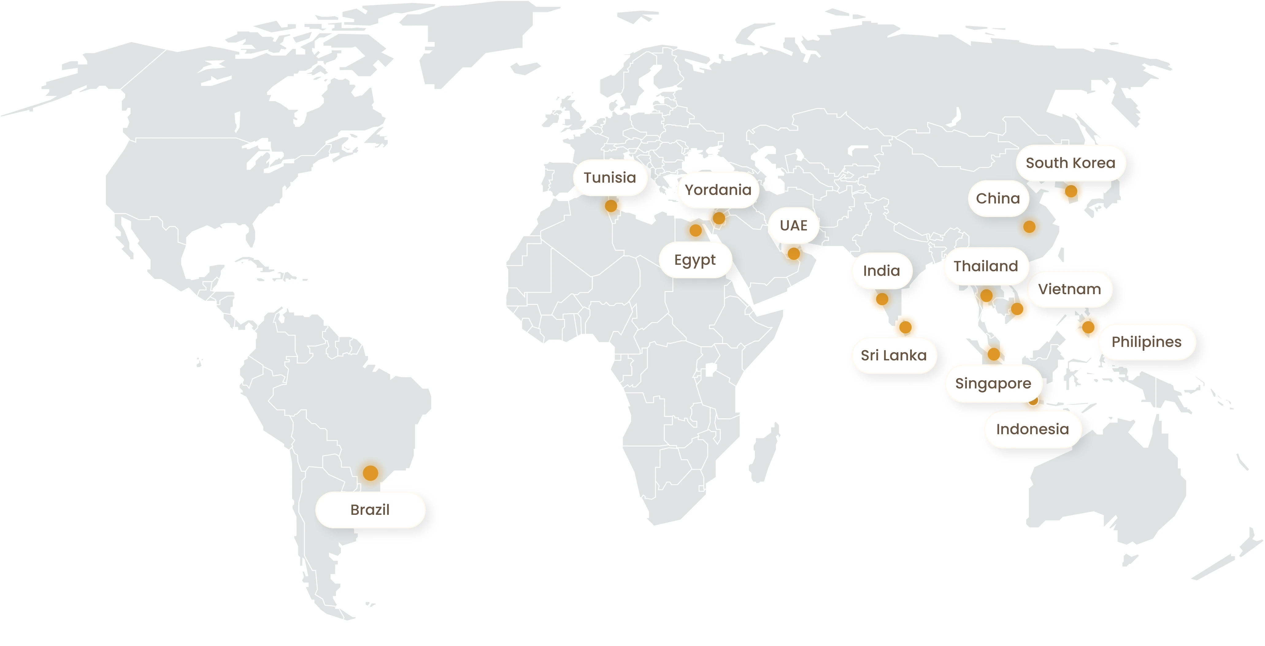 Map Share Feed Addictives