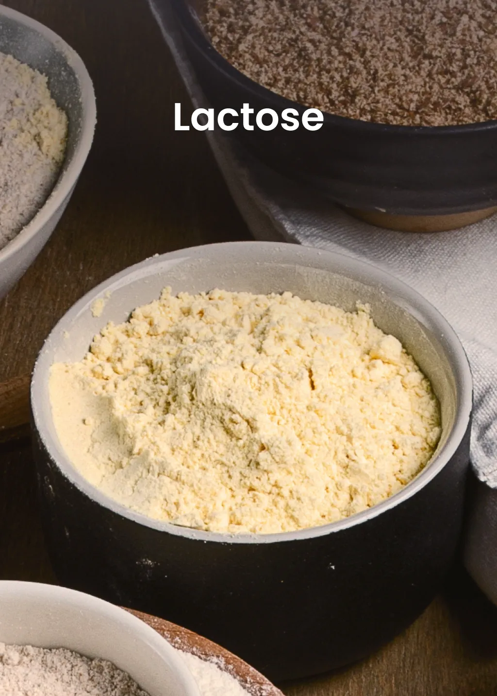 Lactose from Milk Powder Asia