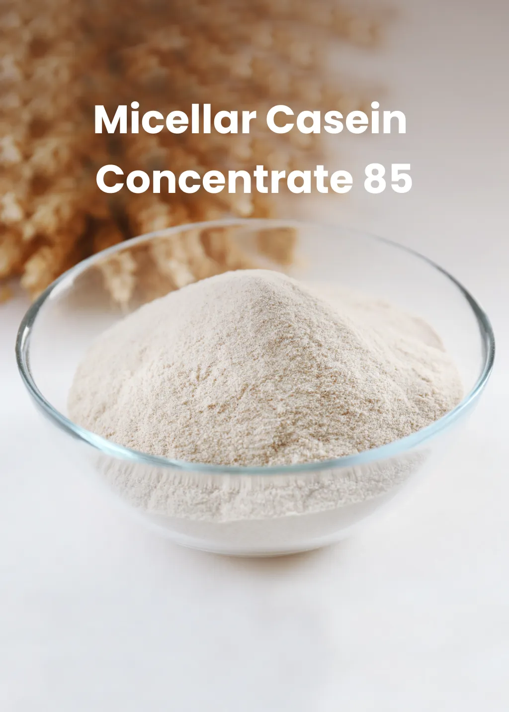 Micellar Casein Concentrate 85 from Milk Powder Asia