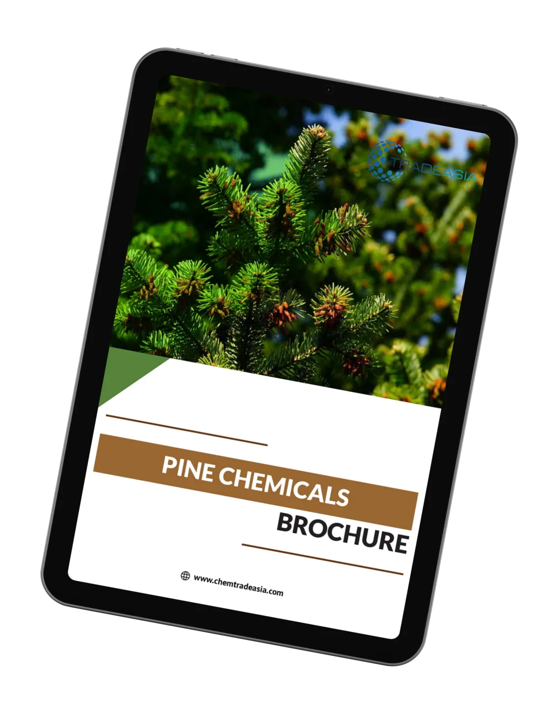 Pine Chemicals Brochure