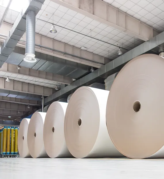 Paper & Pulp from Pine Chemicals India