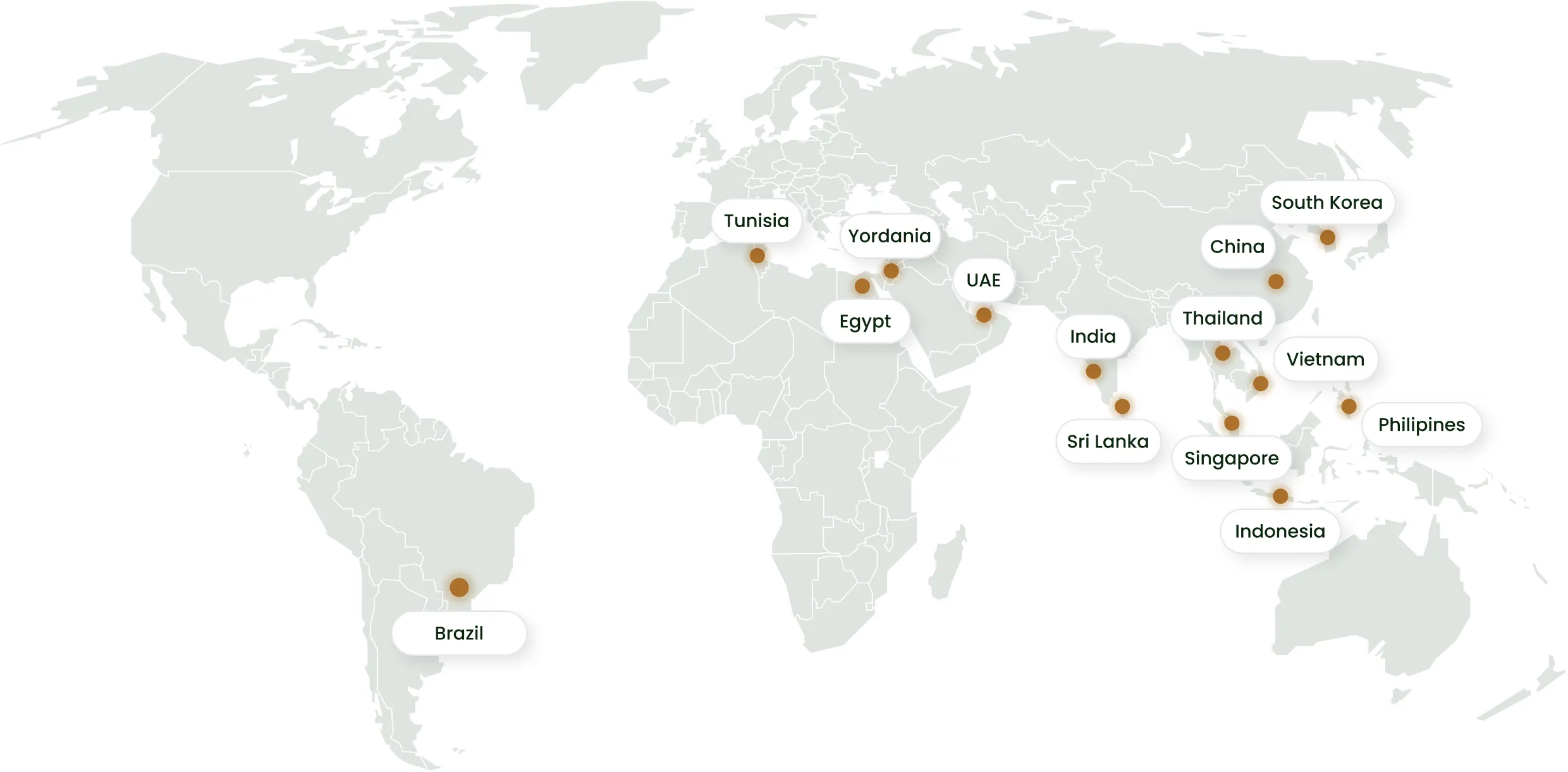world map - pine chemical