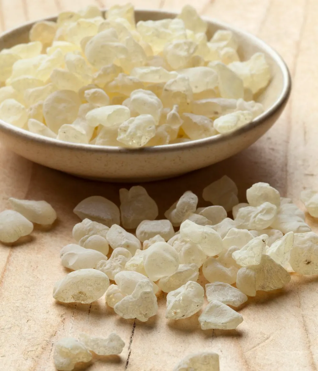 Gum Copal Top Product Image